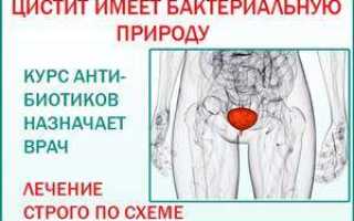 Супракс Солютаб при цистите
