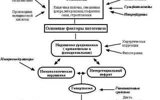 Гестационный пиелонефрит при беременности: симптомы, влияние на плод и лечение