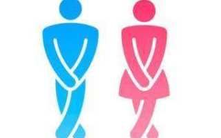 Мочеиспускательный канал у женщин: как он устроен и его возможные болезни