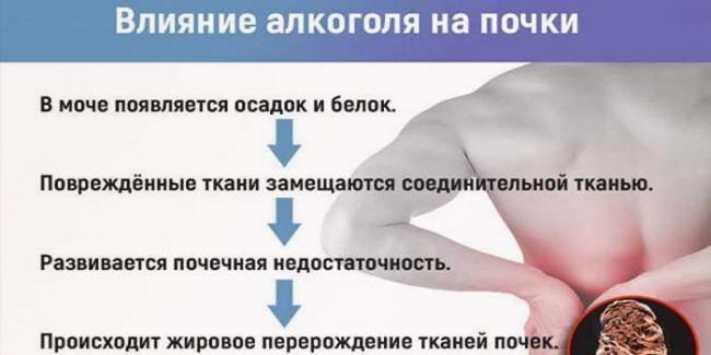 5757250-bolyat-pochki-posle-alkogolya-chto-delat-3.jpg