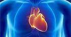 heart.jpg