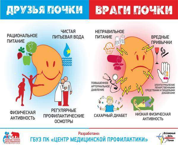 pochka_1.jpg
