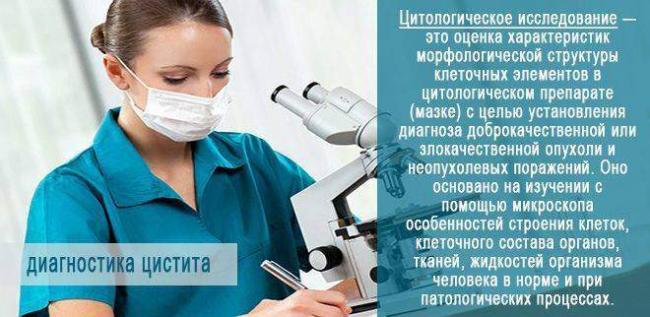 citologiya.jpg