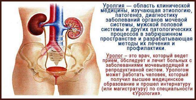 urolog.jpg