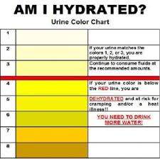 human-urine-polza.jpg