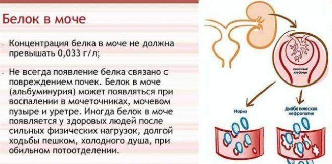 Belok-v-moche-e1499768754467.jpg