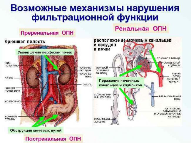 image-7.jpg