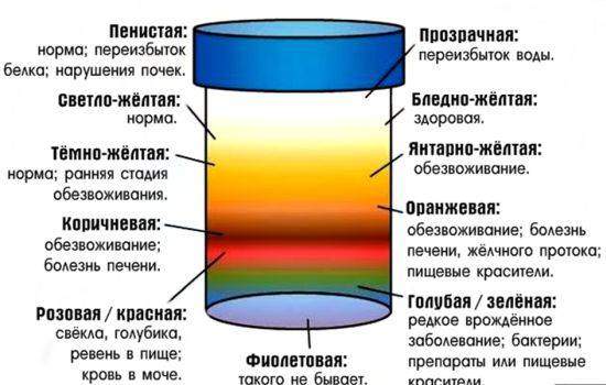 chto_znachit_cvet_mochi.jpg