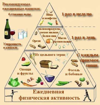 lacto-ovo-vegetarian.jpg