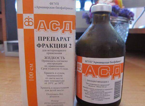 asd2.jpg