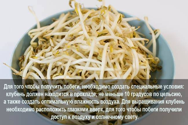 Kartofelnye-prorostki-na-vodke.jpg