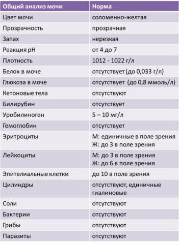 normalnye-pokazateli-oam-351x480.png