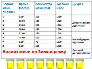 analiz-po-Zimnitskomu-300x225.jpg