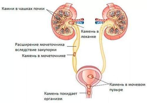 kamni-1.jpg