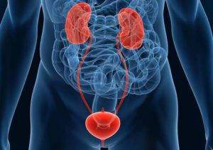 urology-300x211.jpg