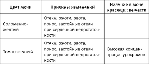 cvet_moch_zab.png