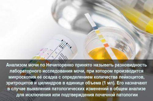 analiz_nicheporenko.jpg