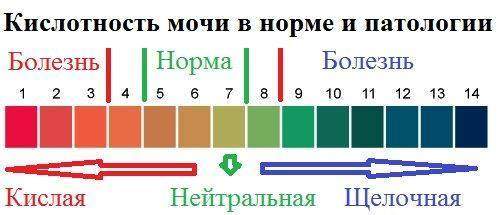 kisl_moch.jpg