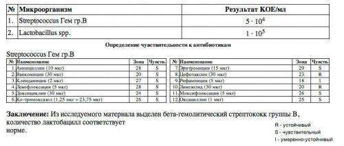 posev-moch-flor-4-500x213.jpg