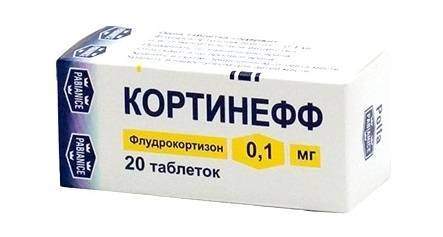 КОРТИНЕФФ.jpg