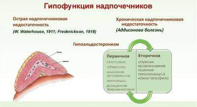 Гипофункция